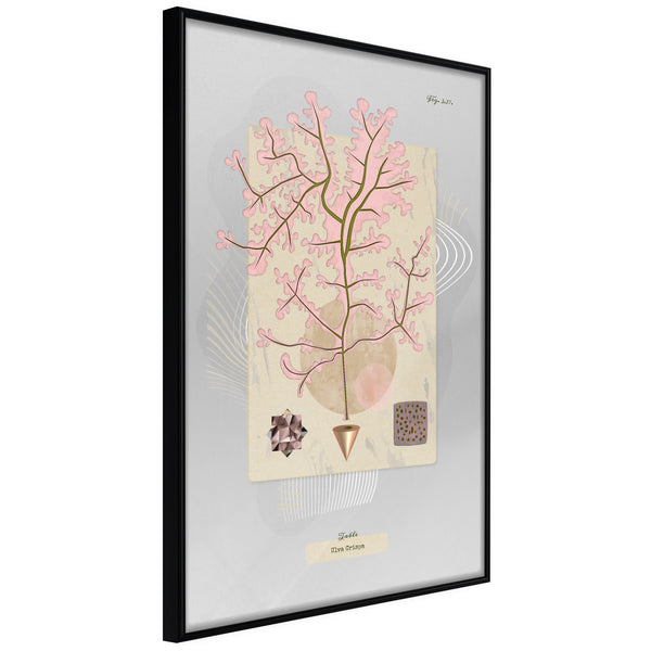 Poster - Seaweed  - zwart