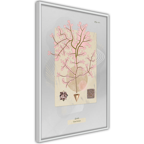 Poster - Seaweed  - wit