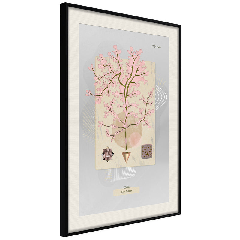 Poster - Seaweed  - zwart passepartout