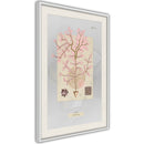 Poster - Seaweed  - wit passepartout