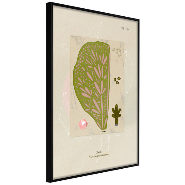 Poster - Cross Section of a Leaf  - zwart