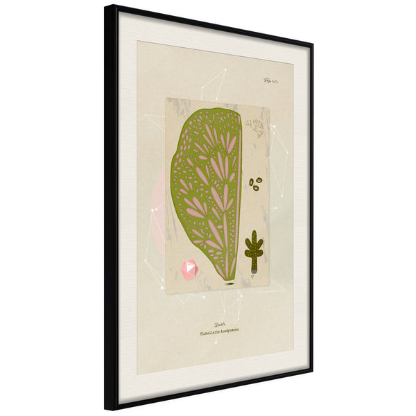 Poster - Cross Section of a Leaf  - zwart passepartout