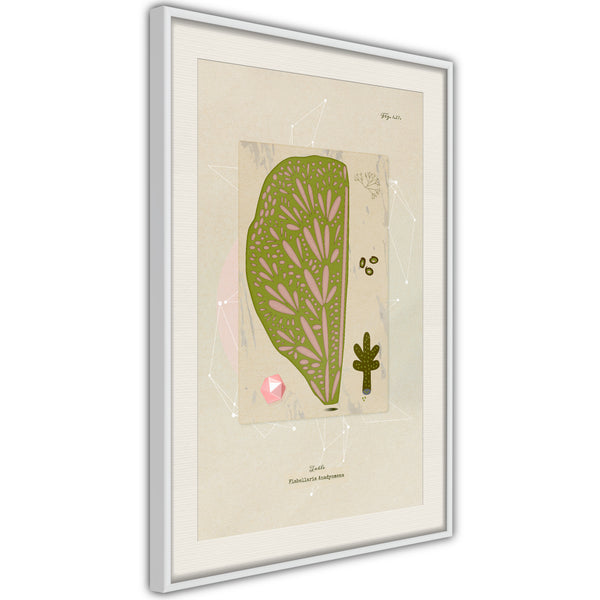 Poster - Cross Section of a Leaf  - wit passepartout