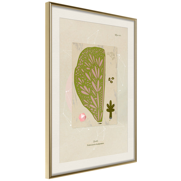 Poster - Cross Section of a Leaf  - goud passepartout