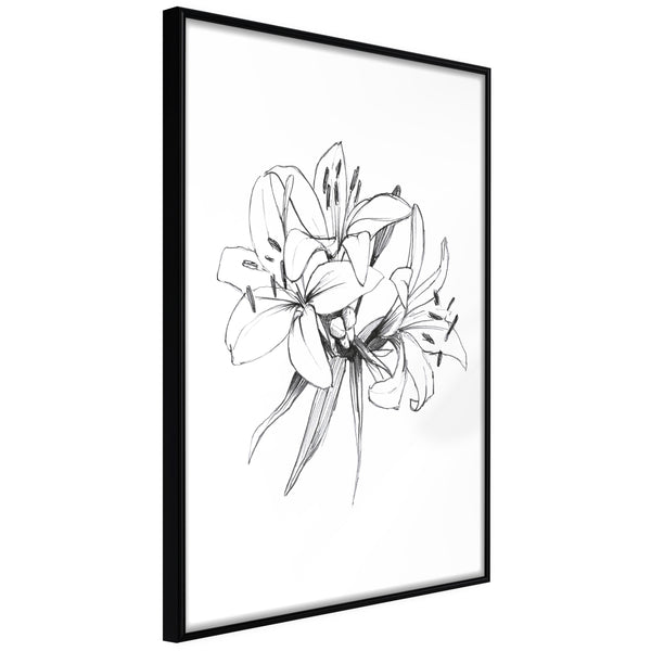 Poster - Sketch of Lillies  - zwart