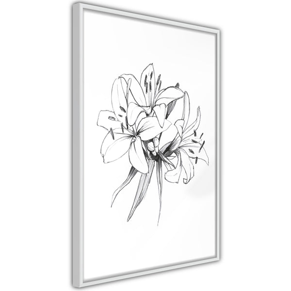 Poster - Sketch of Lillies  - wit