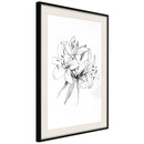Poster - Sketch of Lillies  - zwart passepartout