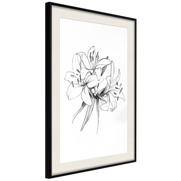 Poster - Sketch of Lillies  - zwart passepartout