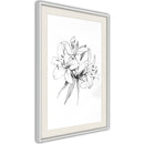 Poster - Sketch of Lillies  - wit passepartout