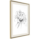 Poster - Sketch of Lillies  - goud passepartout