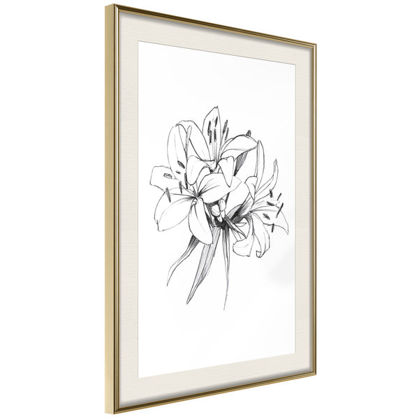 Poster - Sketch of Lillies  - goud passepartout