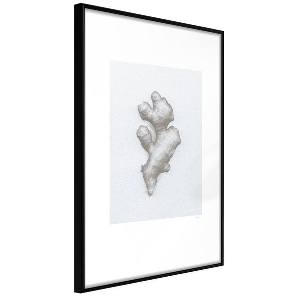 Poster - Ginger Rhizome  - zwart