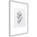 Poster - Ginger Rhizome  - wit