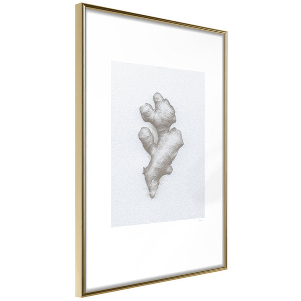 Poster - Ginger Rhizome  - goud