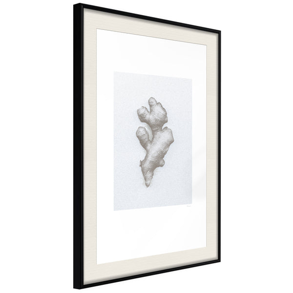 Poster - Ginger Rhizome  - zwart passepartout