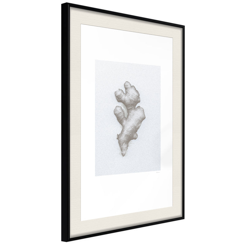 Poster - Ginger Rhizome  - zwart passepartout
