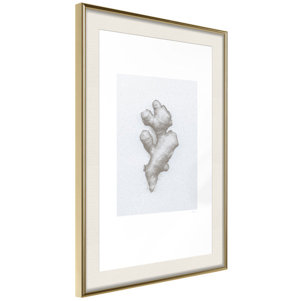 Poster - Ginger Rhizome  - goud passepartout