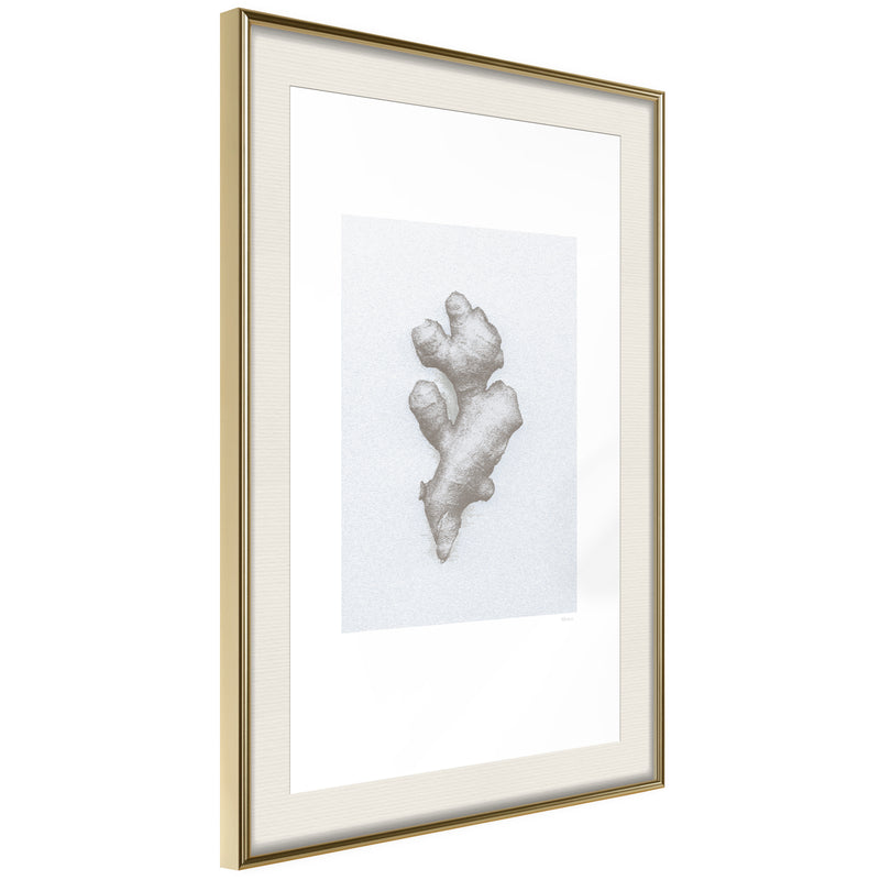 Poster - Ginger Rhizome  - goud passepartout