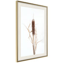 Poster - Typha  - goud passepartout