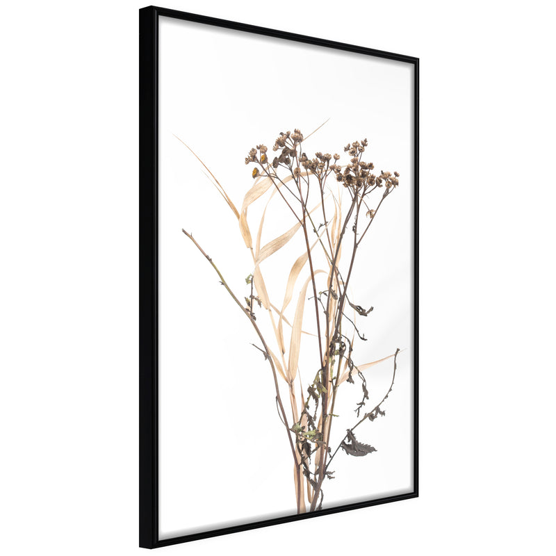Poster - Diary of a Herbalist  - zwart