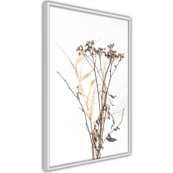 Poster - Diary of a Herbalist  - wit
