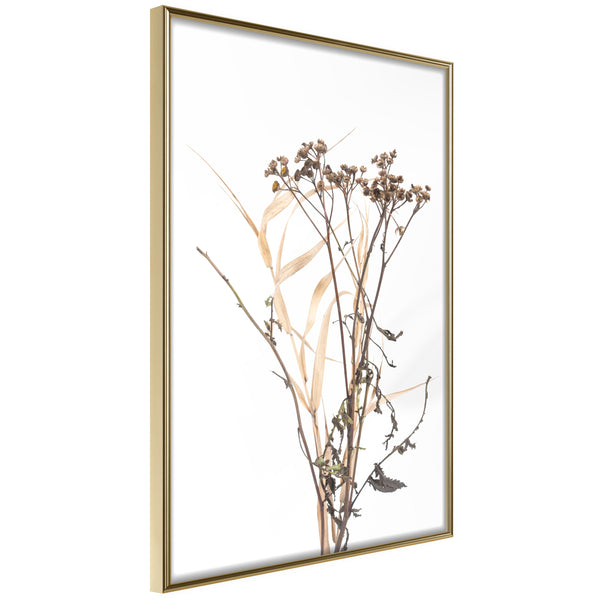 Poster - Diary of a Herbalist  - goud