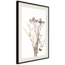 Poster - Diary of a Herbalist  - zwart passepartout