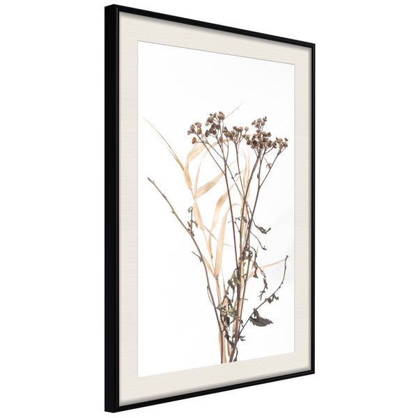 Poster - Diary of a Herbalist  - zwart passepartout