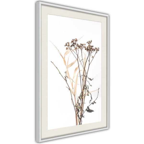 Poster - Diary of a Herbalist  - wit passepartout