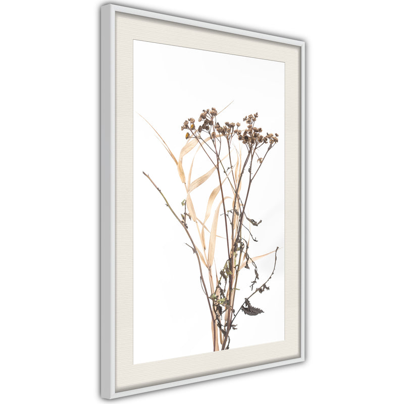 Poster - Diary of a Herbalist  - wit passepartout