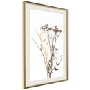 Poster - Diary of a Herbalist  - goud passepartout