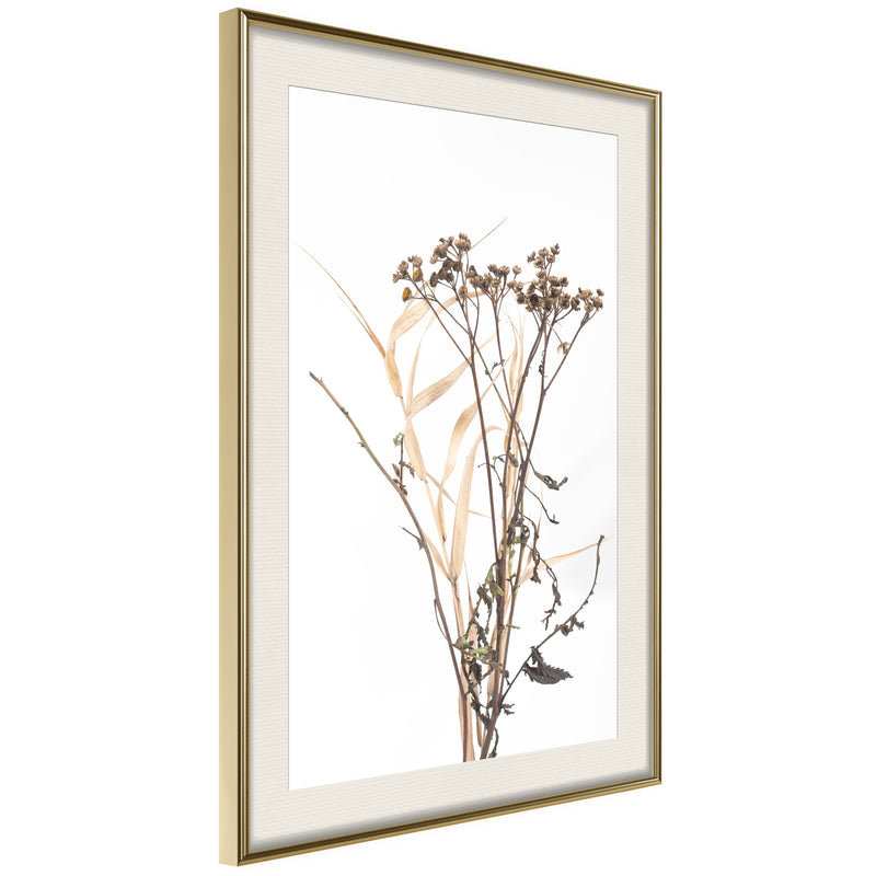 Poster - Diary of a Herbalist  - goud passepartout