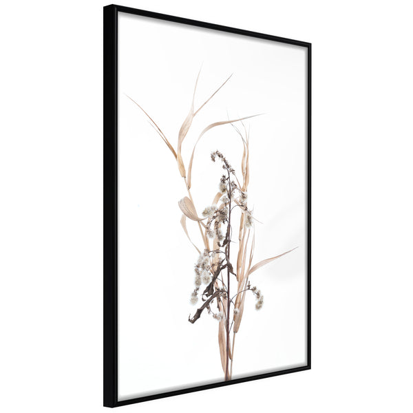 Poster - Found on the Field  - zwart