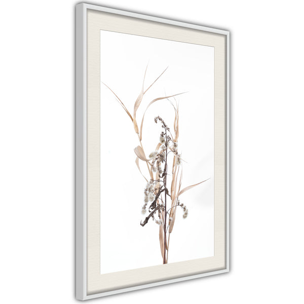 Poster - Found on the Field  - wit passepartout