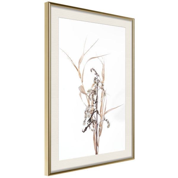 Poster - Found on the Field  - goud passepartout