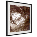 Poster - In the Shade of Trees  - zwart