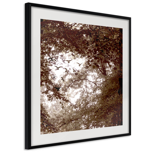 Poster - In the Shade of Trees  - zwart