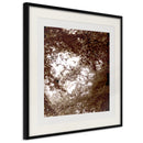 Poster - In the Shade of Trees  - zwart passepartout