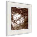 Poster - In the Shade of Trees  - wit passepartout