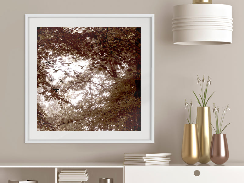 Poster - In the Shade of Trees  - wit