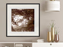 Poster - In the Shade of Trees  - zwart passepartout