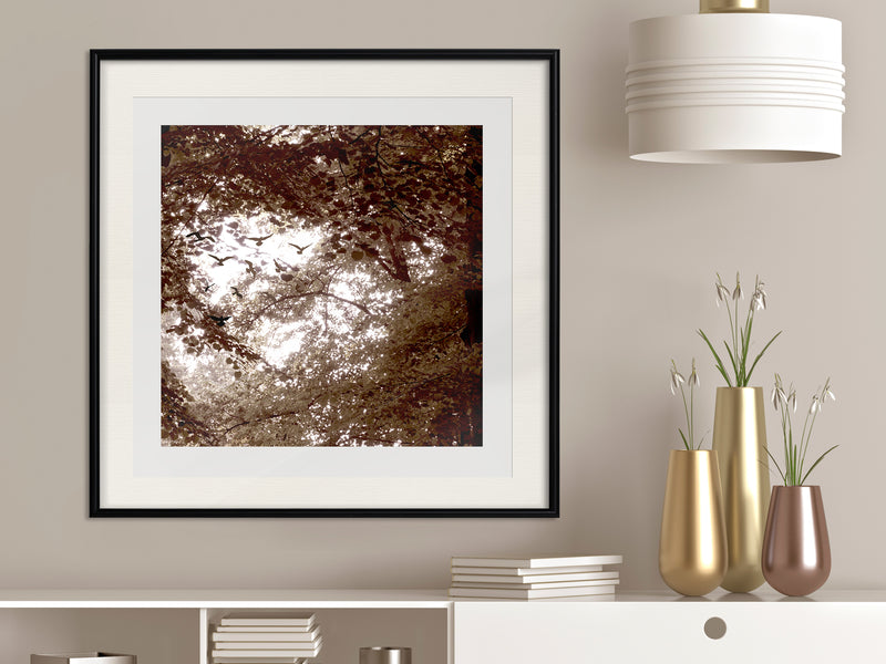 Poster - In the Shade of Trees  - zwart passepartout