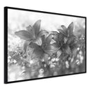 Poster - Dark Lillies  - zwart