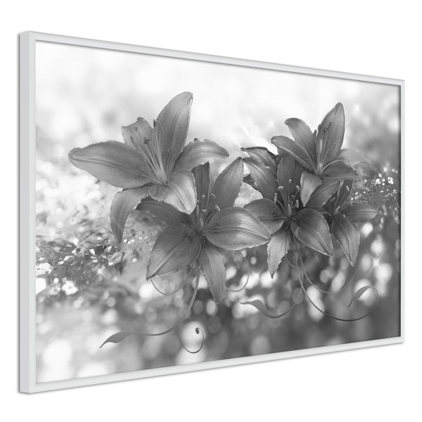 Poster - Dark Lillies  - wit