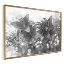 Poster - Dark Lillies  - goud