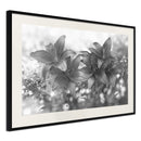 Poster - Dark Lillies  - zwart passepartout