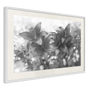 Poster - Dark Lillies  - wit passepartout