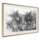 Poster - Dark Lillies  - goud passepartout