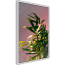 Poster - Against the Sunset  - wit