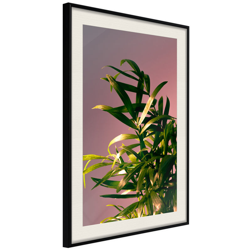 Poster - Against the Sunset  - zwart passepartout